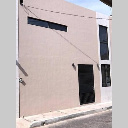 Departamento De Lujo 2 Apartment Идалго дел Парал Екстериор снимка